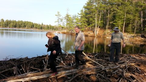 Photo from Killarney Cleanup