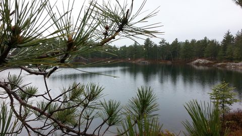 Photo from Killarney Cleanup