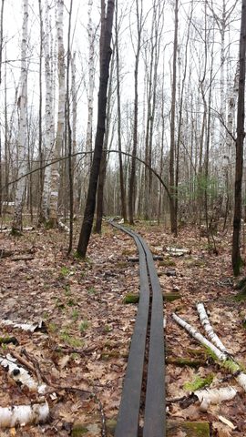 Photo from Killarney Cleanup