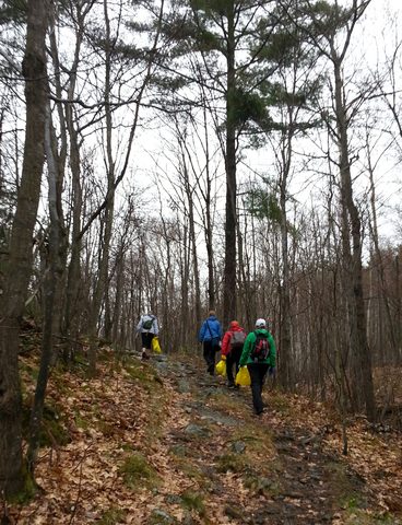 Photo from Killarney Cleanup