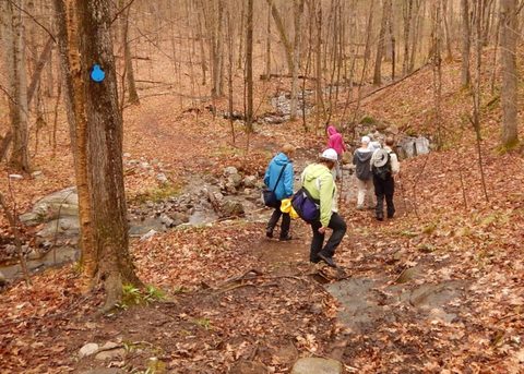 Photo from Killarney Cleanup