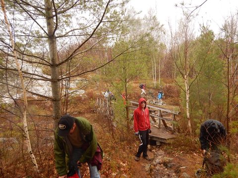 Photo from Killarney Cleanup