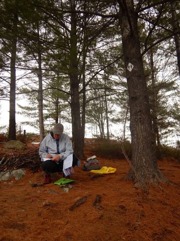 Photo from Killarney Cleanup
