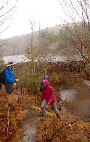 Photo from Killarney Cleanup