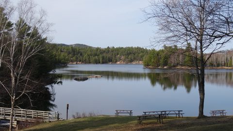 Photo from Killarney Cleanup