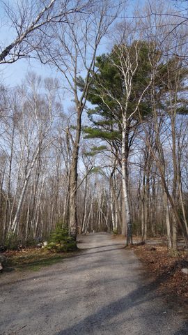 Photo from Killarney Cleanup