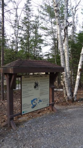 Photo from Killarney Cleanup