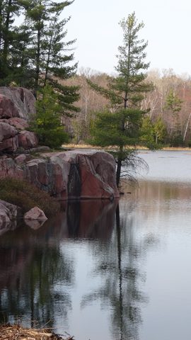 Photo from Killarney Cleanup
