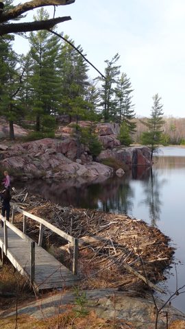 Photo from Killarney Cleanup