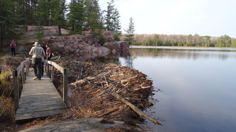 Photo from Killarney Cleanup