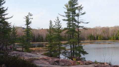 Photo from Killarney Cleanup