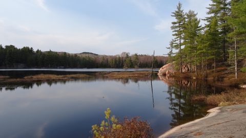 Photo from Killarney Cleanup