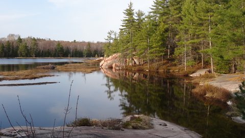 Photo from Killarney Cleanup