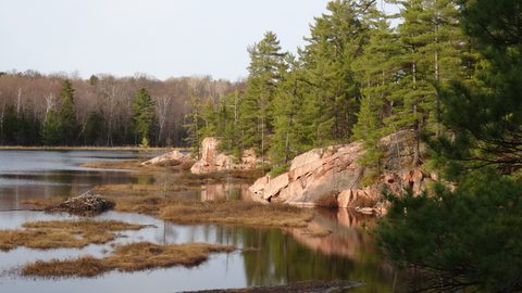 Photo from Killarney Cleanup