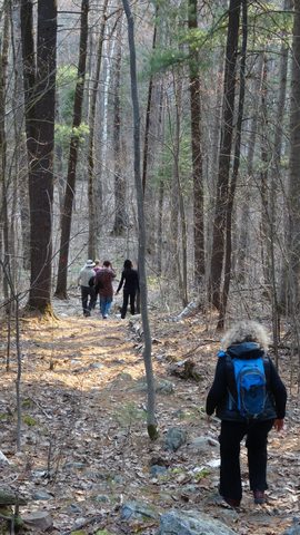Photo from Killarney Cleanup