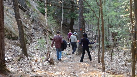 Photo from Killarney Cleanup