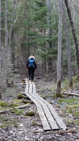 Photo from Killarney Cleanup