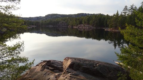 Photo from Killarney Cleanup