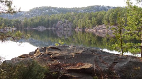 Photo from Killarney Cleanup