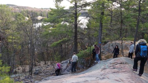 Photo from Killarney Cleanup