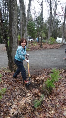 Photo from Killarney Cleanup