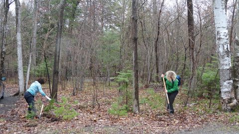 Photo from Killarney Cleanup