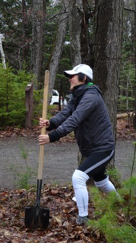 Photo from Killarney Cleanup