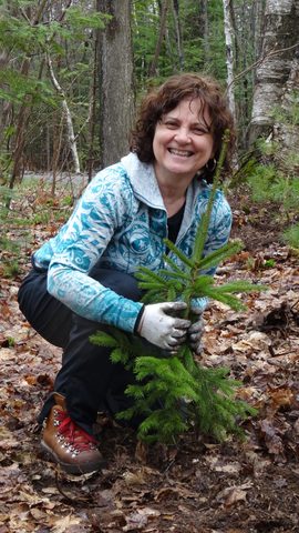Photo from Killarney Cleanup
