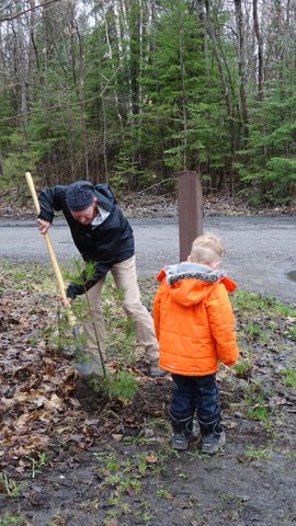 Photo from Killarney Cleanup