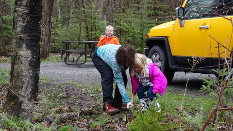 Photo from Killarney Cleanup