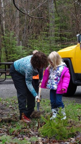 Photo from Killarney Cleanup