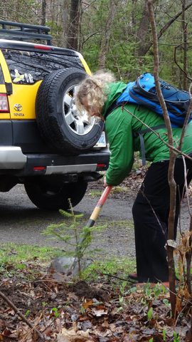 Photo from Killarney Cleanup