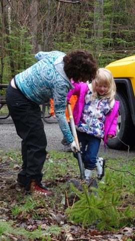 Photo from Killarney Cleanup
