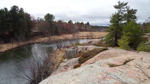 Photo from Killarney Cleanup