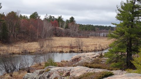 Photo from Killarney Cleanup
