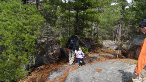 Photo from Killarney Cleanup