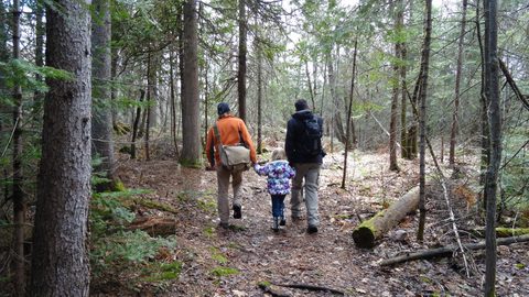 Photo from Killarney Cleanup