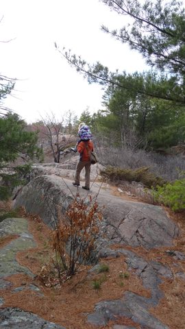 Photo from Killarney Cleanup