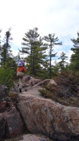 Photo from Killarney Cleanup