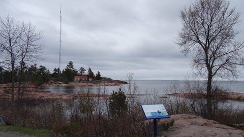 Photo from Killarney Cleanup
