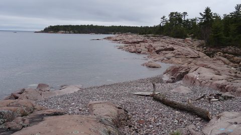 Photo from Killarney Cleanup