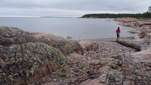 Photo from Killarney Cleanup