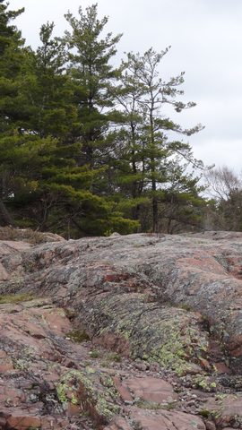 Photo from Killarney Cleanup