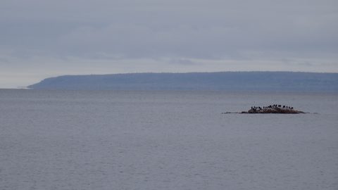 Photo from Killarney Cleanup