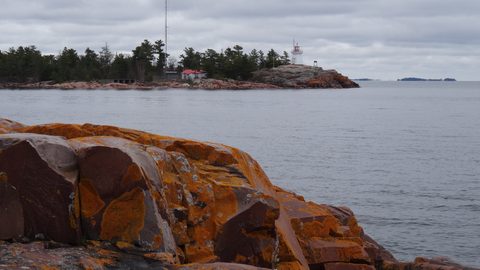 Photo from Killarney Cleanup