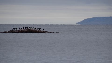 Photo from Killarney Cleanup