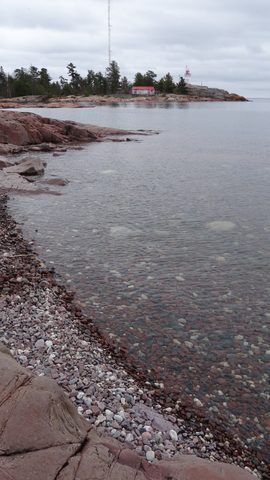 Photo from Killarney Cleanup