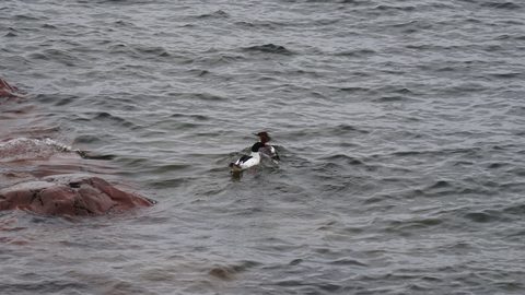 Photo from Killarney Cleanup