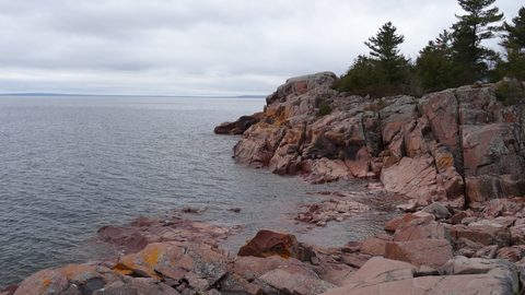 Photo from Killarney Cleanup