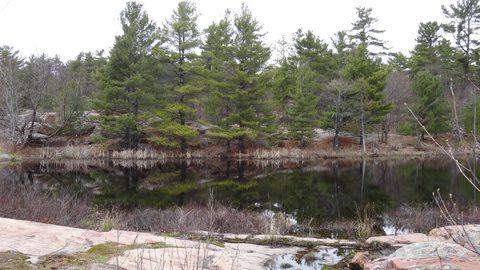 Photo from Killarney Cleanup